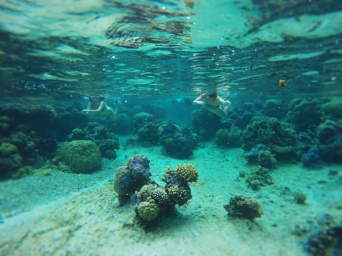 https://tahititourisme.cl/wp-content/uploads/2017/08/Bora-Bora-Reef-Discovery-2.jpg