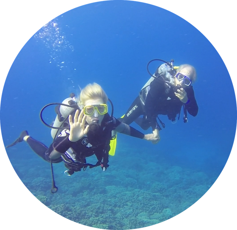 https://tahititourisme.cl/wp-content/uploads/2017/08/Divers-in-the-first-try.png