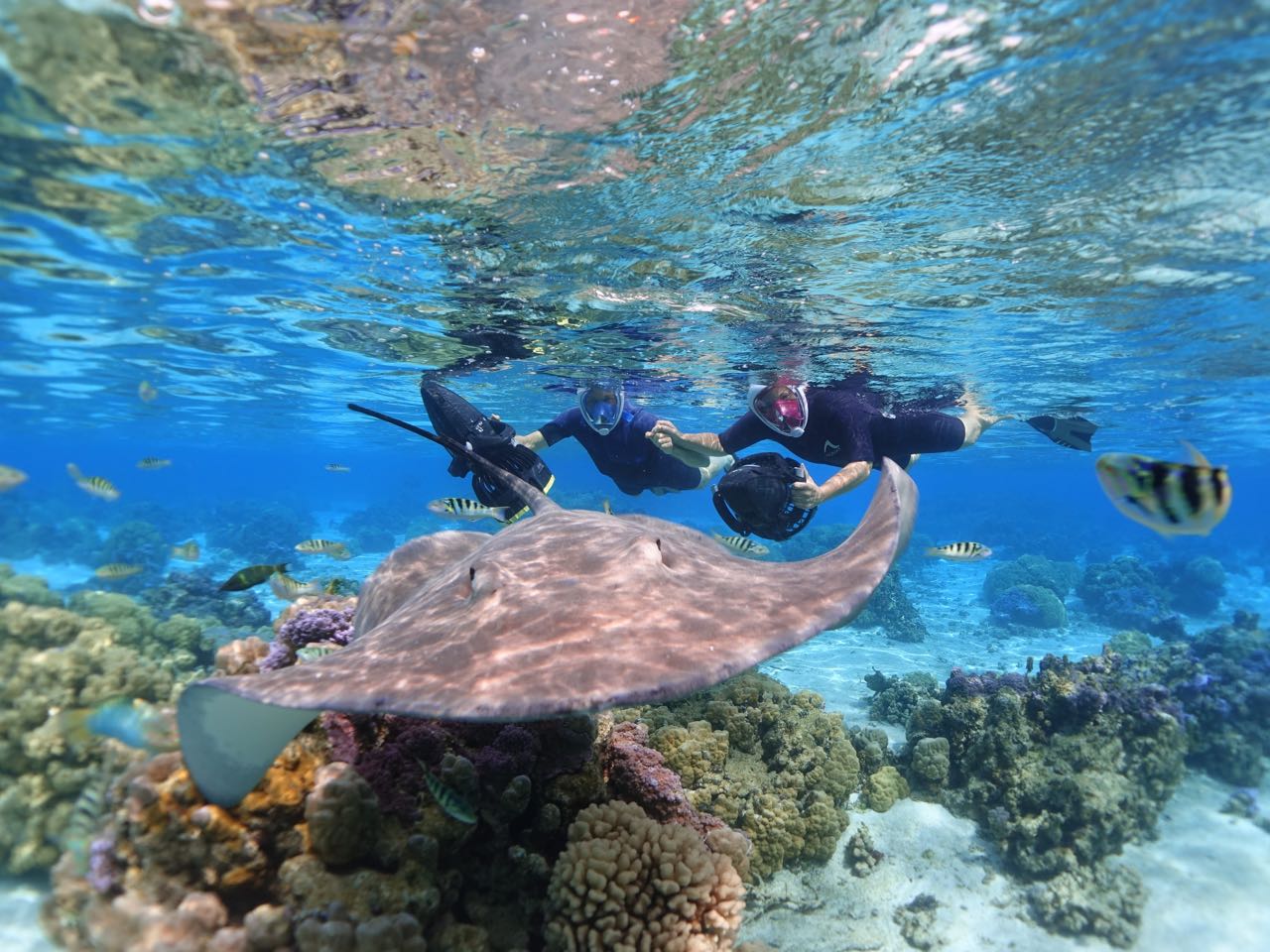https://tahititourisme.cl/wp-content/uploads/2020/09/Sea-Scooter-Snorkeling-Tour-à-moorea-copie-2.jpg