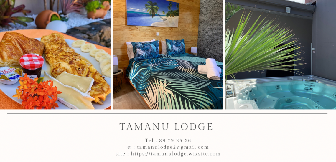 https://tahititourisme.cl/wp-content/uploads/2022/11/TamanuLodge_photocouverture_1140x550px.png