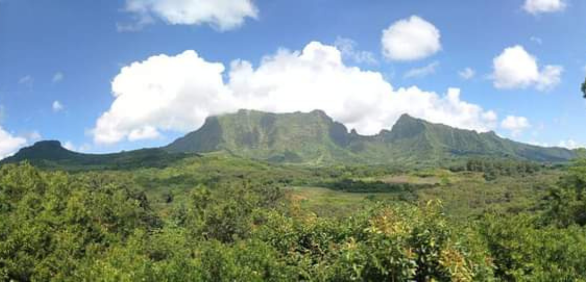 https://tahititourisme.cl/wp-content/uploads/2023/02/SmileWithWilly_photocouverture_1140x550px.png