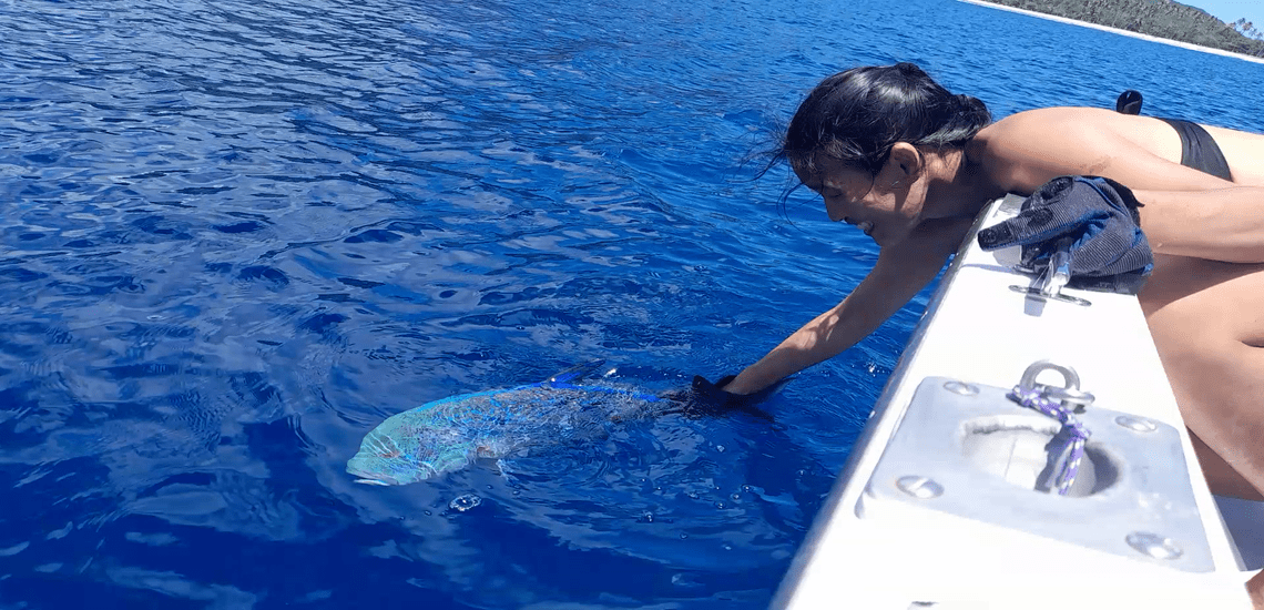 https://tahititourisme.cl/wp-content/uploads/2023/03/MooreaSunriseFishing_photocouver.png