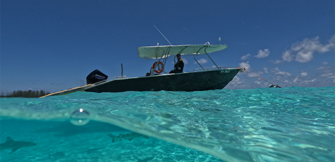 https://tahititourisme.cl/wp-content/uploads/2023/06/MooreaOceanRiders_photocouverture_1140x550px.png