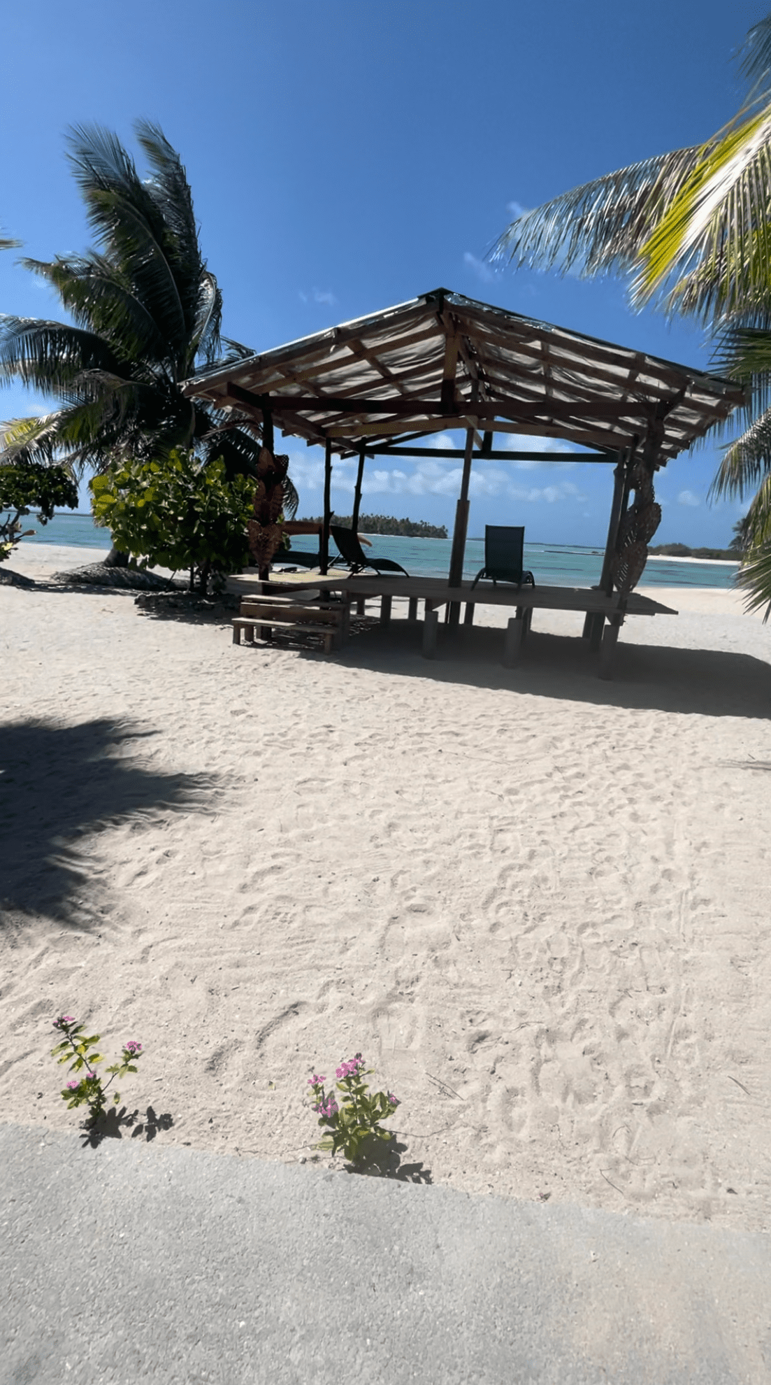 https://tahititourisme.cl/wp-content/uploads/2024/01/IMG_5076-min.png