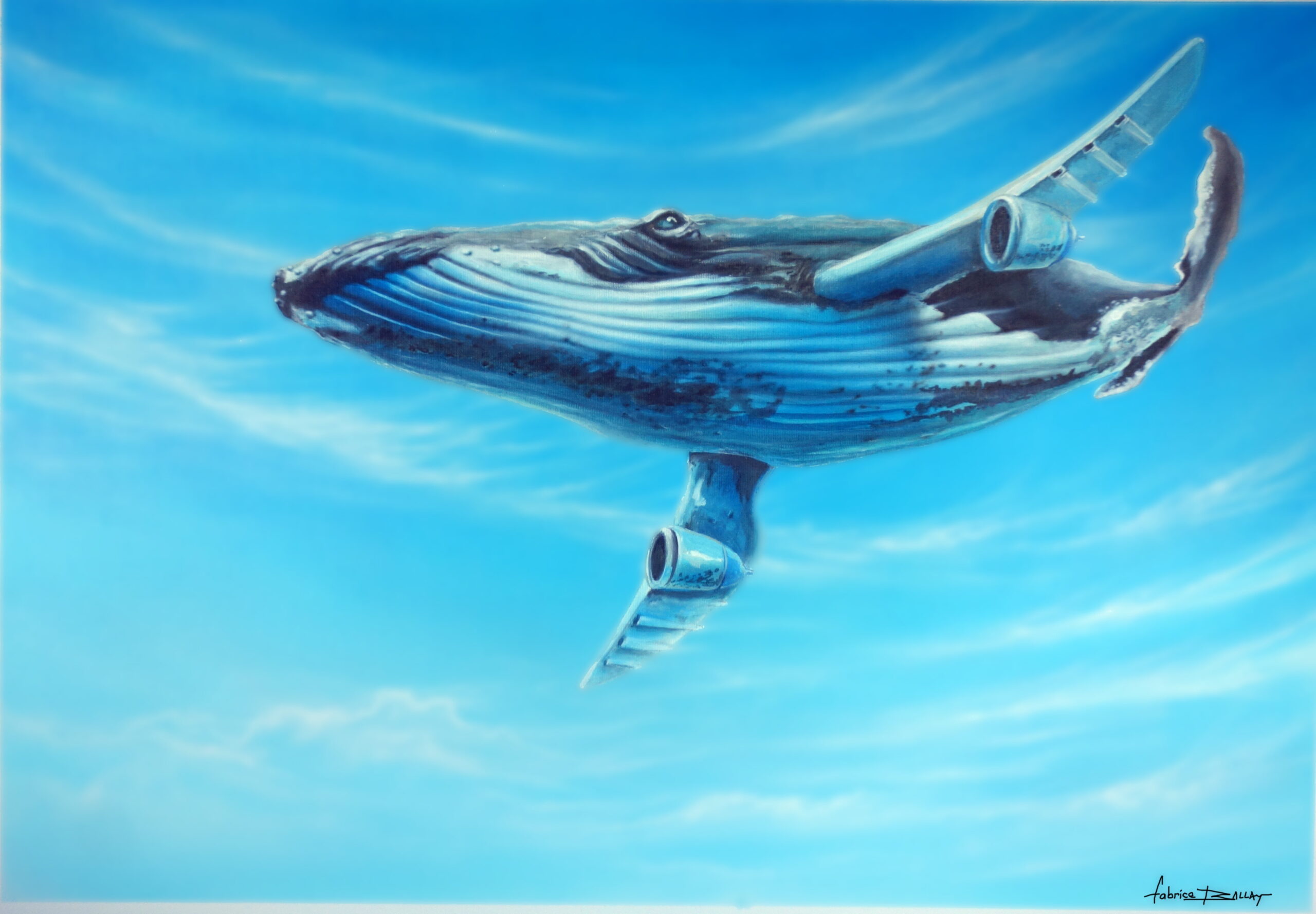 https://tahititourisme.cl/wp-content/uploads/2024/02/baleine_volante-min-scaled.jpg